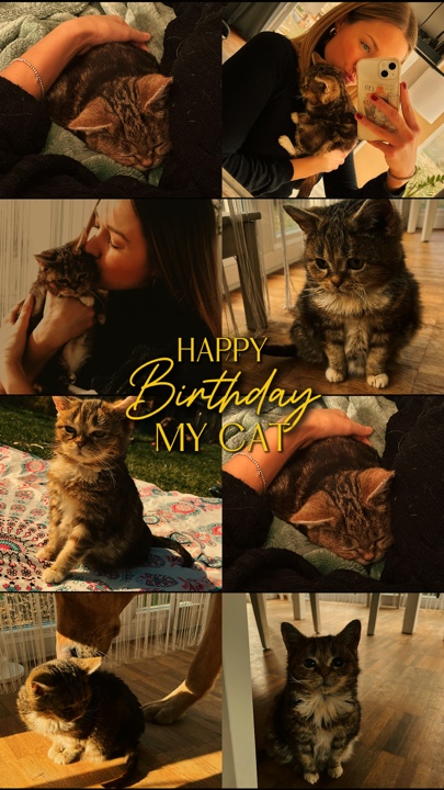 Cumpleaños mi gato
