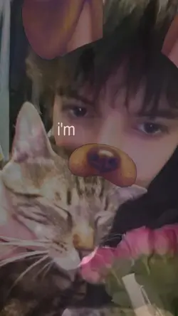 j’ai envie de dormir