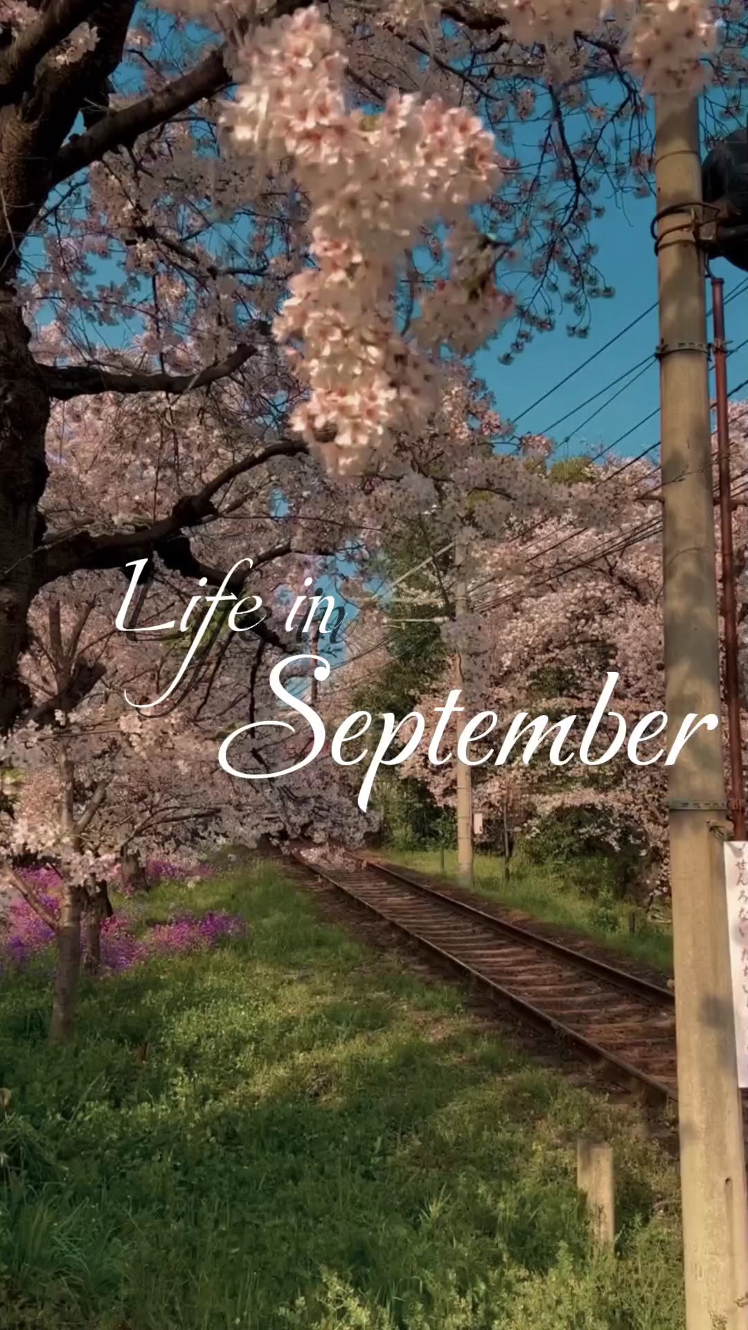 La vida en septiembre 