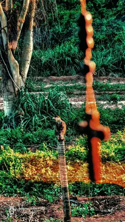 A Gente Vive Achando