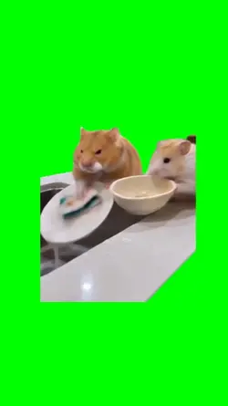 Hamster Wash Dishes