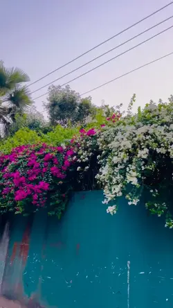 slow motion template
