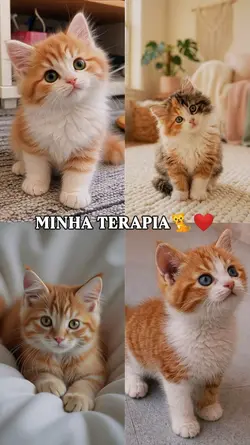 Amo meu gato | Cat