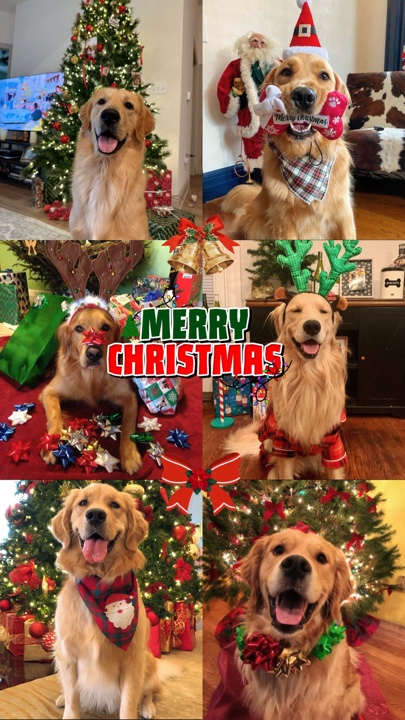 Feliz Navidad