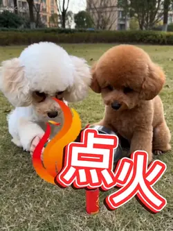 火遊びは、危険⚠️