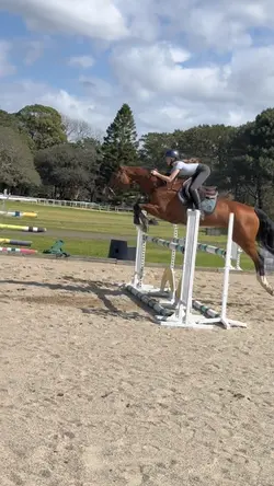 the best Tinkie 🩵