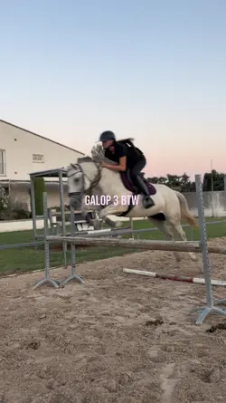Galop 3 btw 
