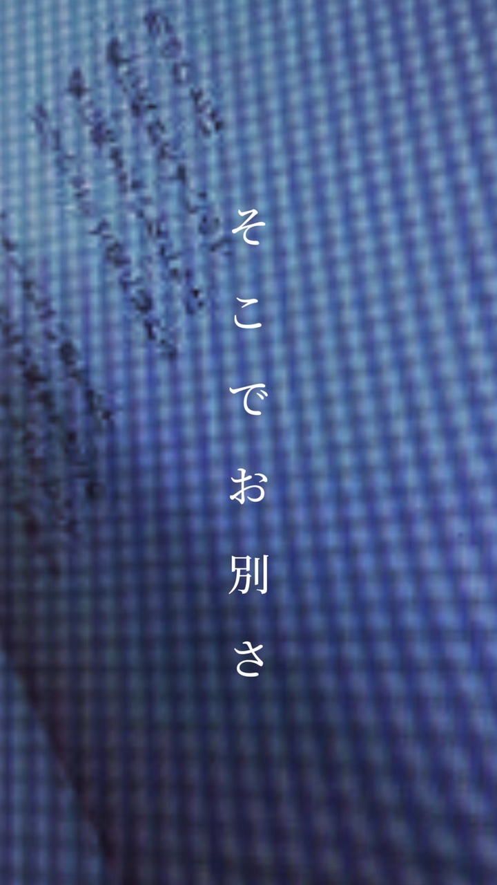 彗星ハネムーン