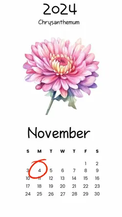 birthday 4 nov 2024