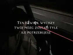 Wyciszy mózg 