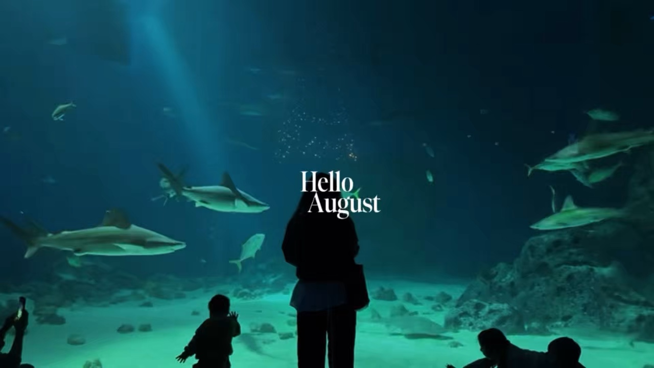 Hola agosto