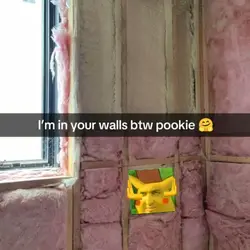 IM IN YOUR WALLS BAB