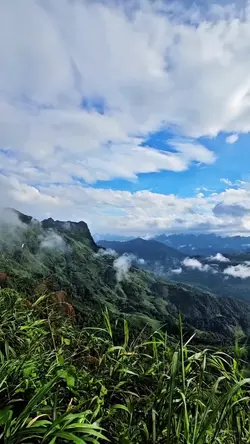 MẪU 1 VIDEOS SLOW