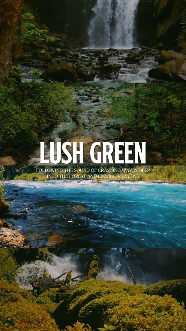 LUSH GREEN