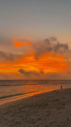 Filter senja