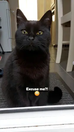 Excuse me!