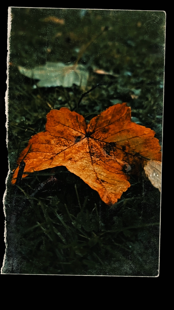 DUMP SEPTEMBER