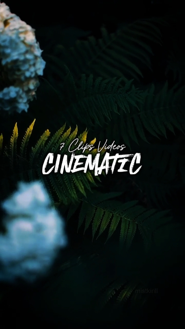 CINEMATIC PHONK