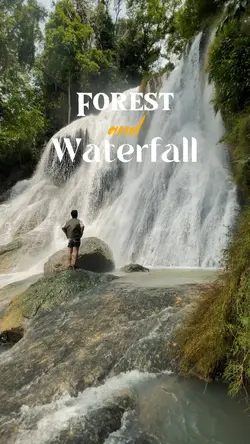 Curug dan Hutan