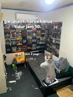 kucing joget