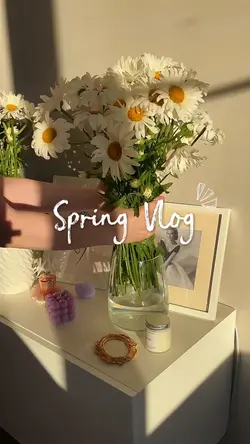 spring vlog
