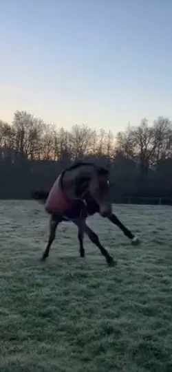 She was a fairy 🧚‍♀️ 