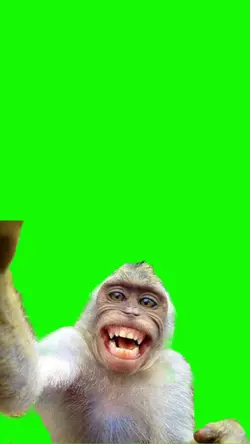 Foto bareng monyet