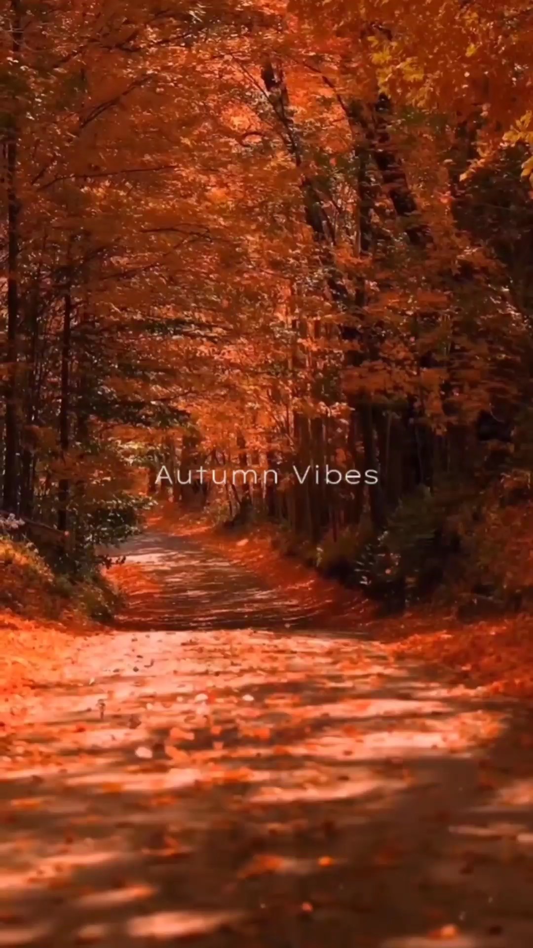 Vibras de otoño