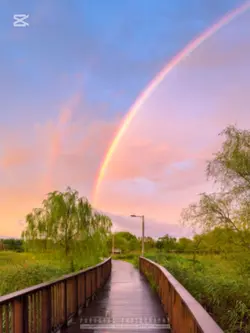 무지개색 사진을 넣어보새요
