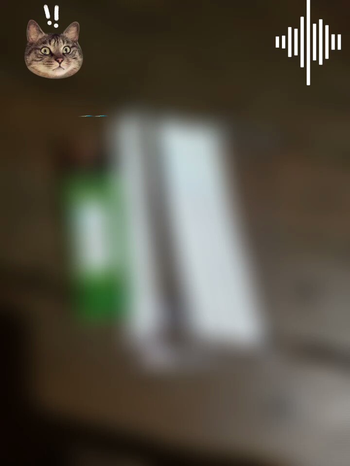 ក្នុងលោកមនុស្សក៏គោក