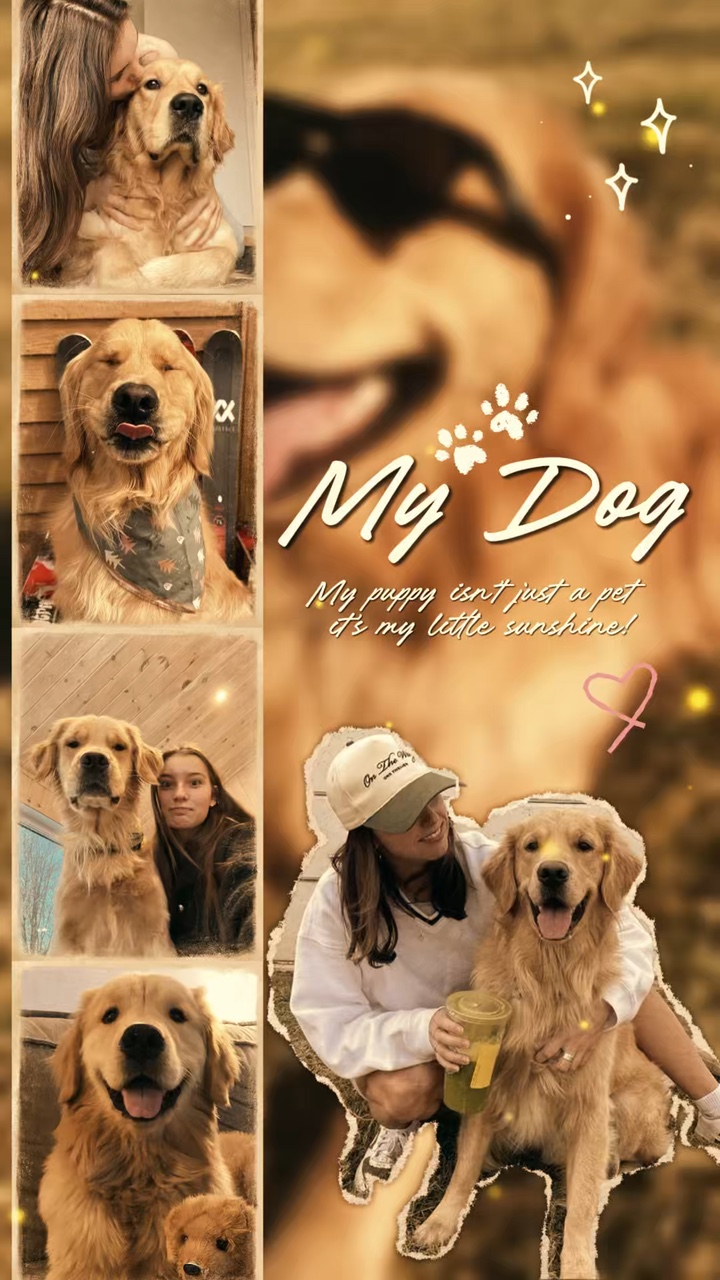 Köpeğim 
