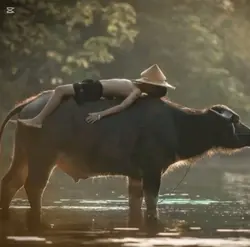 អាក្របី