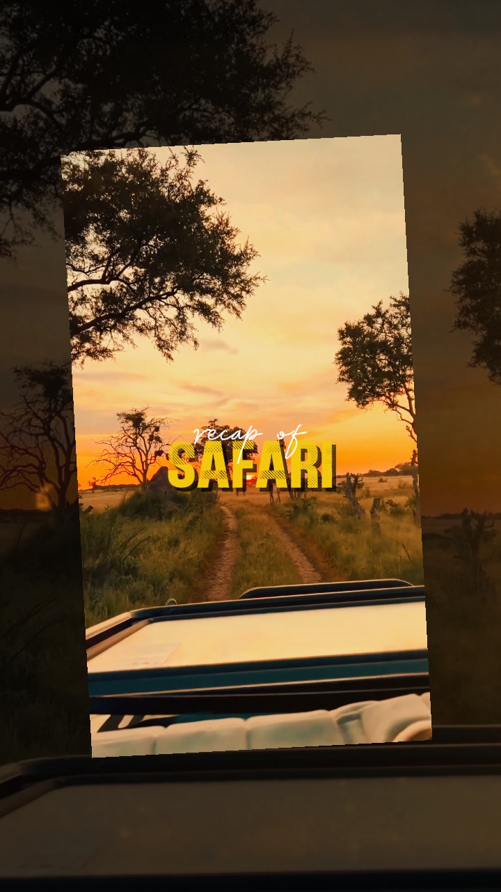 Resumen del safari