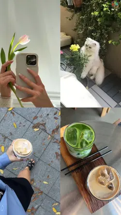 4 grid videos