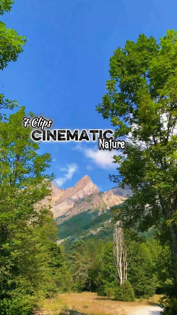 Cinématique 7 Clips 