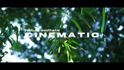 Cinematic Nature Aes