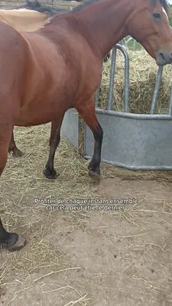 Profiter un max