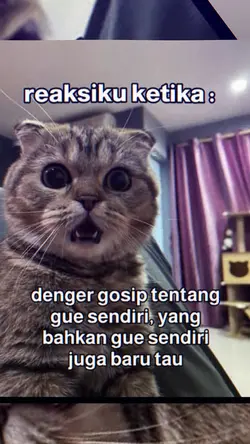 REAKSI DENGER GOSIP