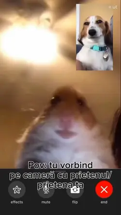 video de pov