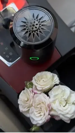 يوم الجمعه ولمه اهلي