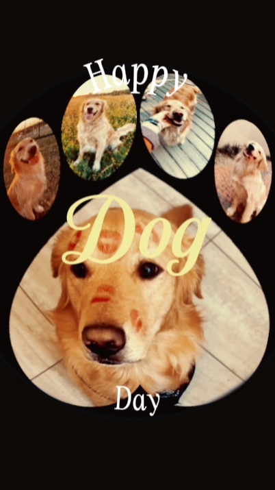 Happy Dog Day