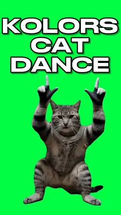 KOLORS CAT DANCE