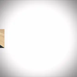 Egyptian trend w cat