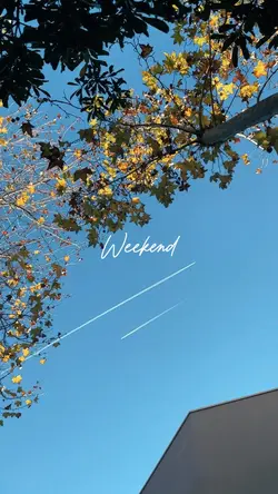 Minivlog 
