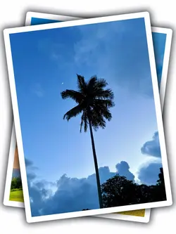 2Pic Frame Aestheti