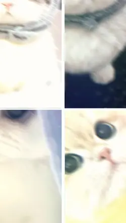 ‌ why since the same