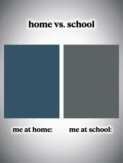 home vs school