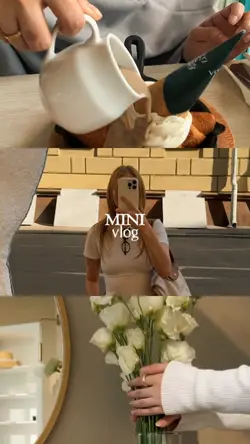 Mini Vlog