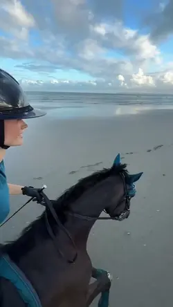 BEACH RIDESSS