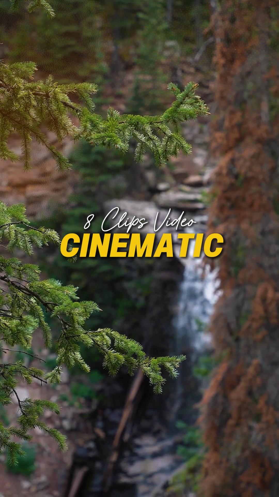 Cinemaric 8 Vidéo